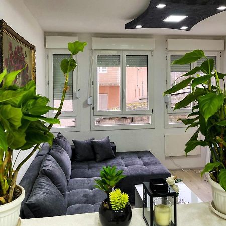 Apartment Tatjana Kragujevac Bagian luar foto