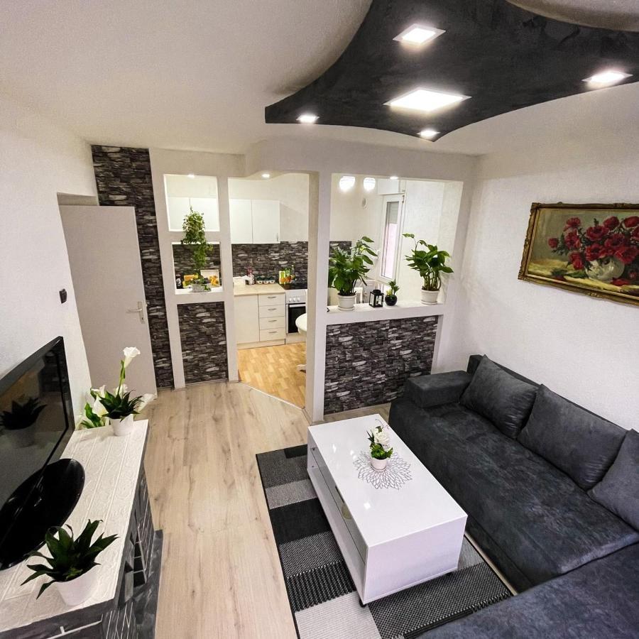 Apartment Tatjana Kragujevac Bagian luar foto