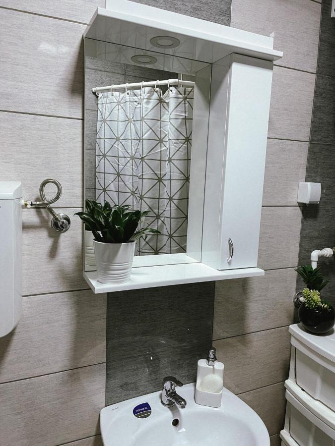 Apartment Tatjana Kragujevac Bagian luar foto