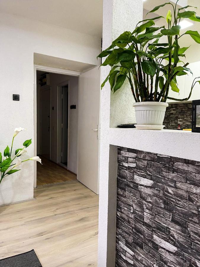 Apartment Tatjana Kragujevac Bagian luar foto